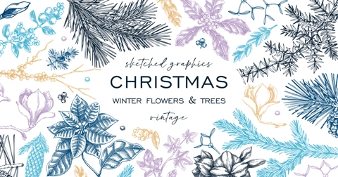 Christmas background. Winter flowers frame design. Conifer tree, evergreen plant, berry sketches. Hand drawn vector illustration. NOT AI generated